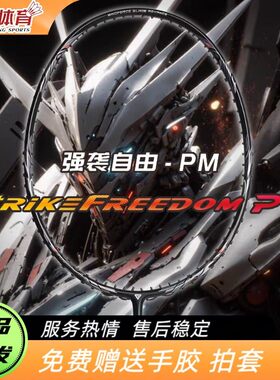 聚将强袭自由PM速度进攻羽毛球拍