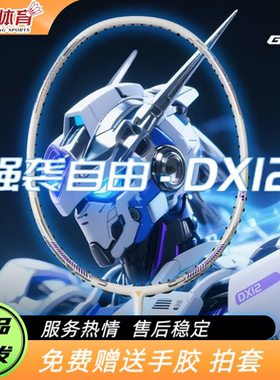 GGEM聚将强袭自由DX12聚将驭12碳纤维速度进攻控制羽毛球拍球拍