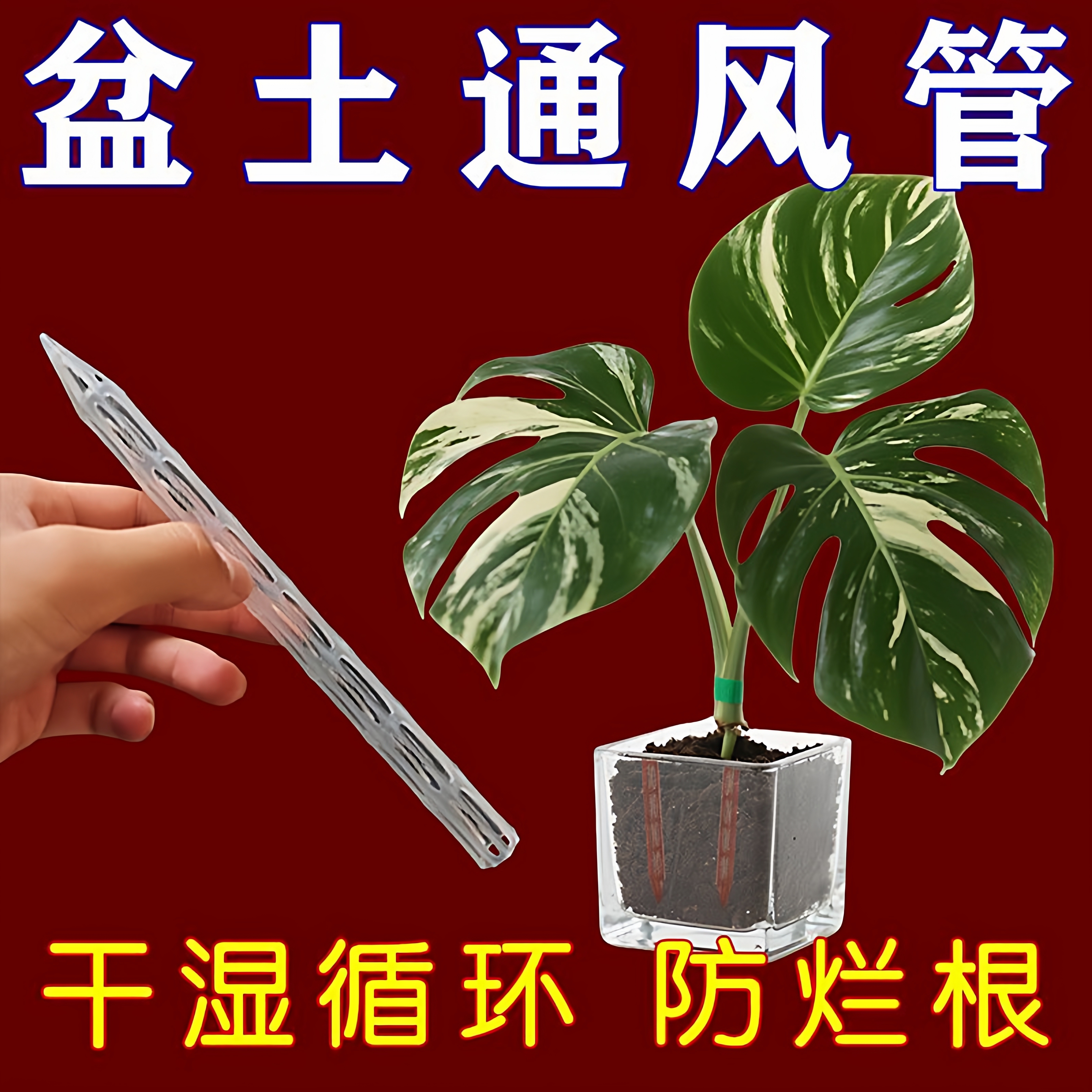 盆土通风管透气孔防闷根烂根透明