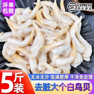 去内脏无沙无冰白鸟贝肉新鲜冷冻特大号批发商用火锅海鲜食材捞汁