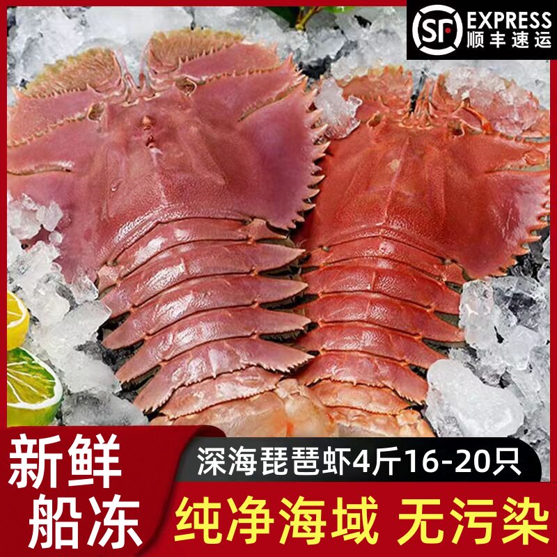 琵琶虾鲜活冷冻16-20只一箱4斤