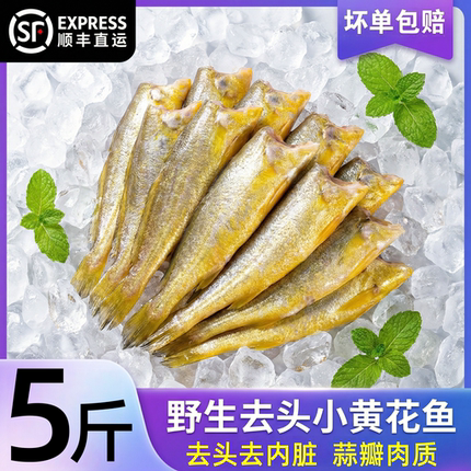 去头小黄花鱼海鱼黄鱼新鲜海鲜冷冻水产生鲜鱼类油炸香酥小黄鱼