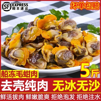 冷冻毛蚶赤贝肉整箱顺丰