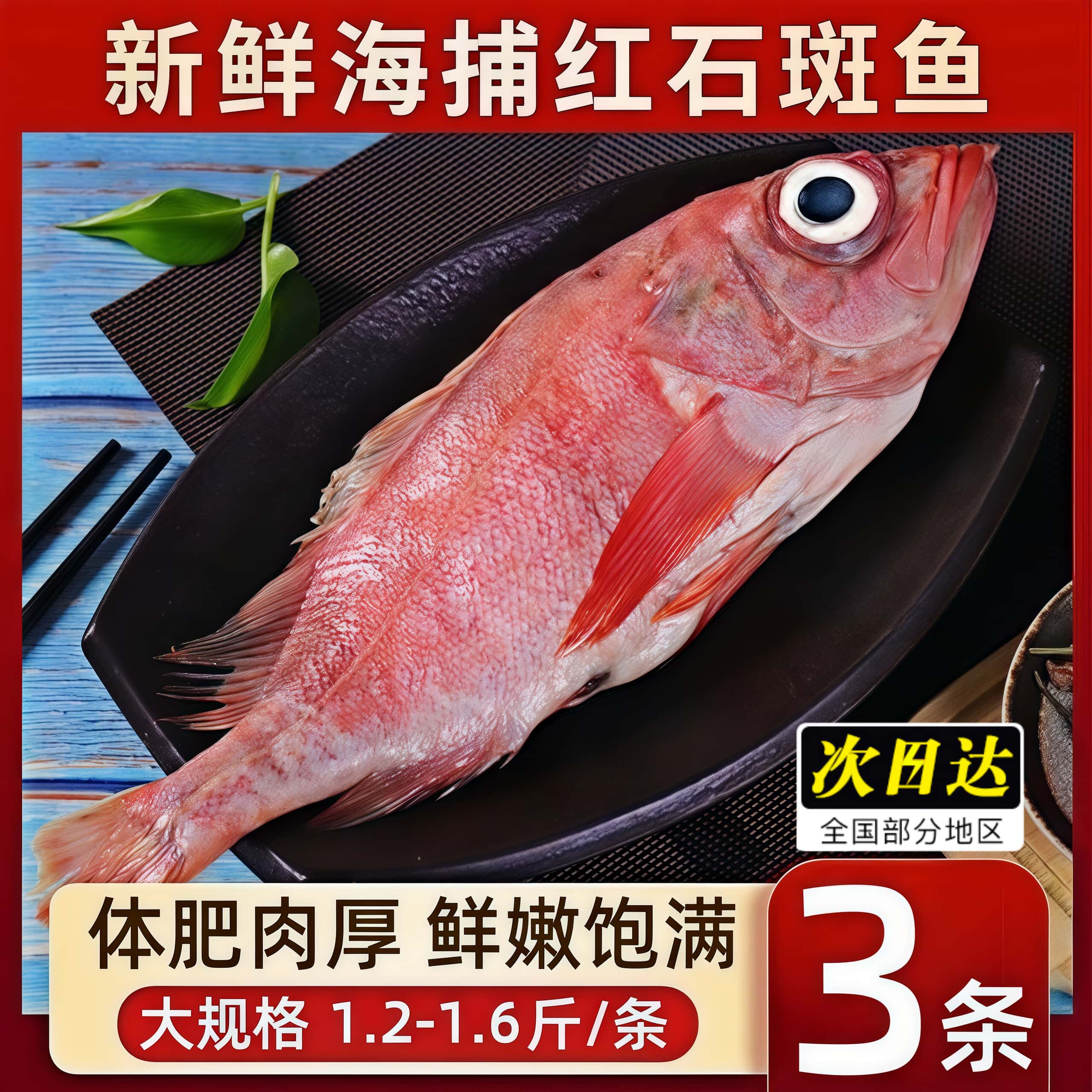 红石斑新鲜活冷冻大眼鱼长寿红鱼龙胆富贵石斑鱼海鲜水产整箱顺丰