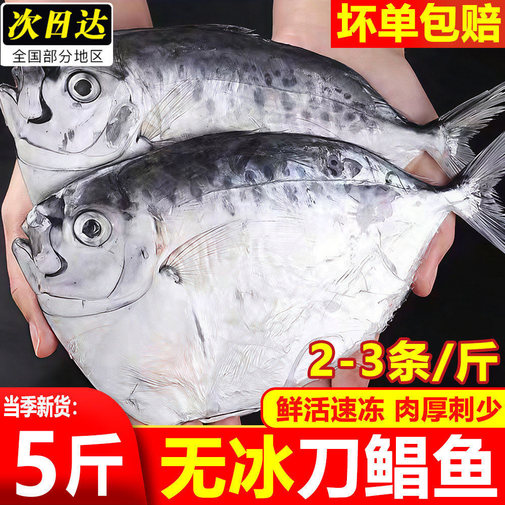 无冰刀鲳鱼新鲜冷冻鲳鱼整箱海鲜冷冻水产白鲳鱼金鲳鱼银鲳顺丰