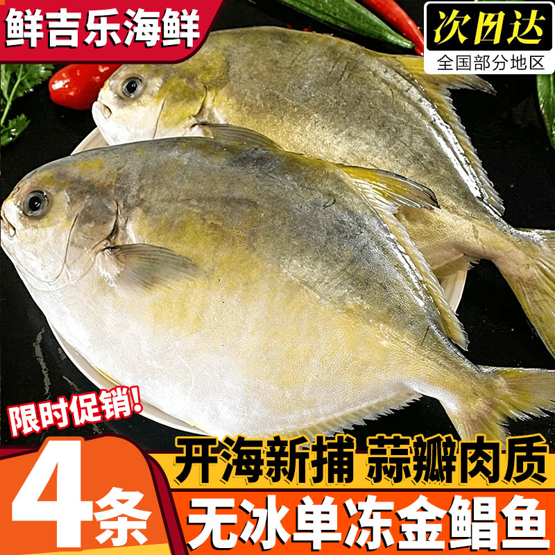 新货金鲳鱼海鲜冷冻顺丰包邮