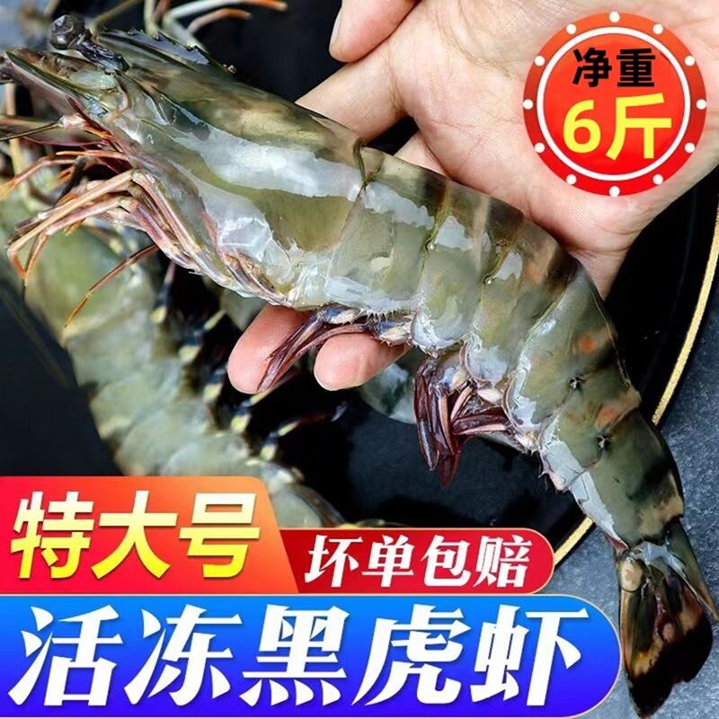 黑虎虾大号新鲜大虾基围虾鲜活冷冻海鲜水产老虎虾九节虾大号虎虾