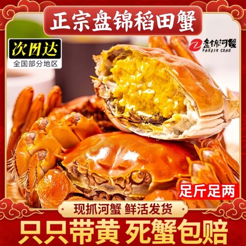 盘锦鲜活大闸蟹六月黄20只装