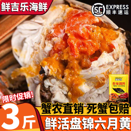 盘锦鲜活公母河蟹10只礼盒