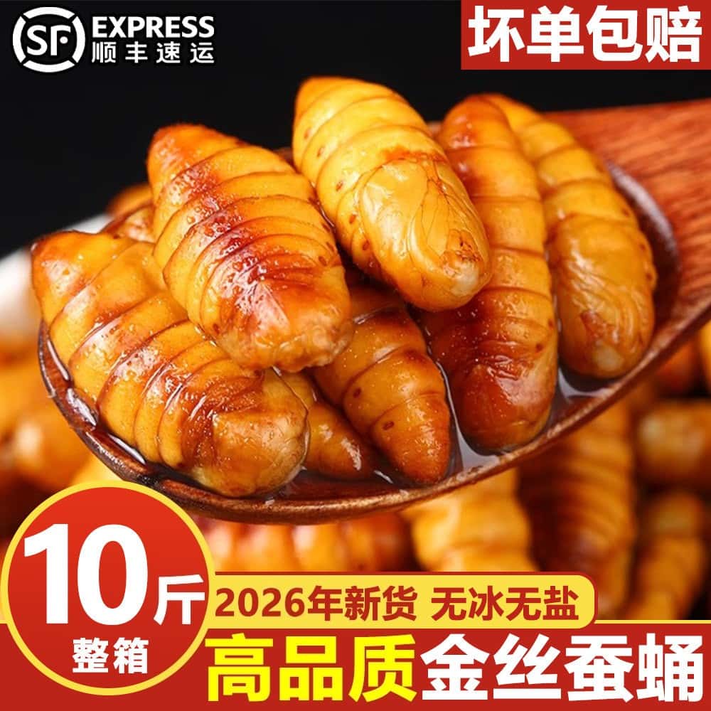 山东特产金丝蚕蛹鲜活冷冻