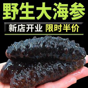 即食海参特价正宗辽红极参新鲜独立包装礼盒非干参冷冻野生辽刺参