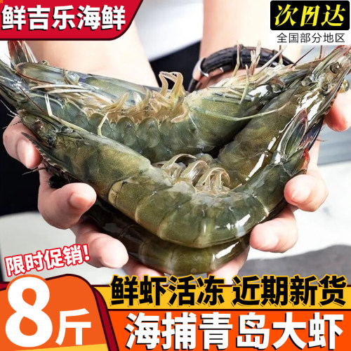 青岛海捕特大鲜活速冻对虾
