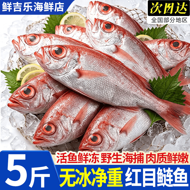 北海海捕红目鲢鱼无冰5斤装