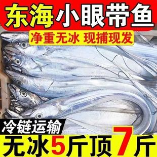 5斤东海小眼带鱼超大整条新鲜冷冻深海鱼冰冻刀鱼非舟山带鱼顺丰