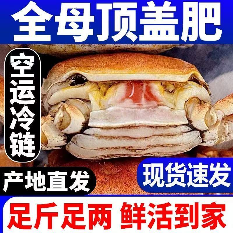 正宗盘锦稻田蟹爆肥流油产地直发