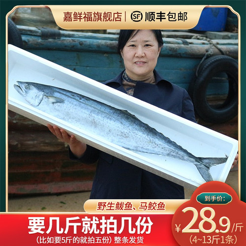 鲅鱼鲅鱼新鲜鲜活整条青岛