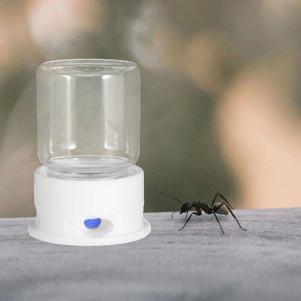 Ant Water Feeder Bowl Keeper Tools on Watering Cup Feeding