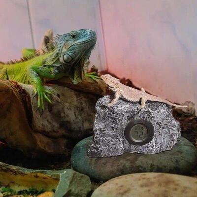 Aquarium Thermograph Digital Thermograph Hygrometer With