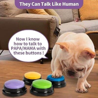 Recordable Pet Starter Talking Speaking Buttons Dog