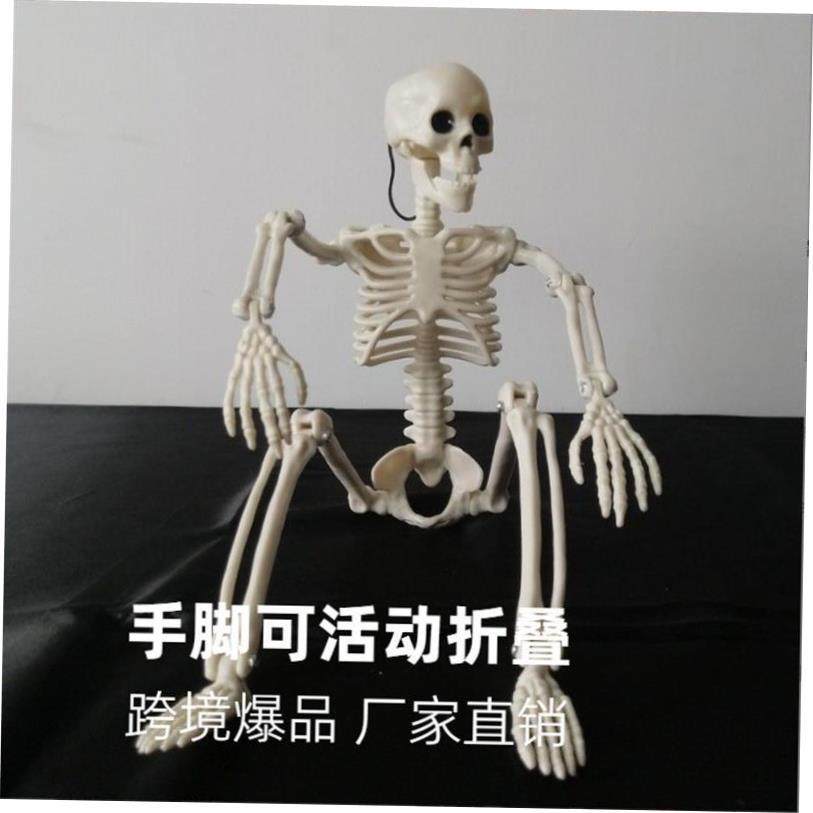 Joints adjustable Halloween Horror skeleton human skeleton