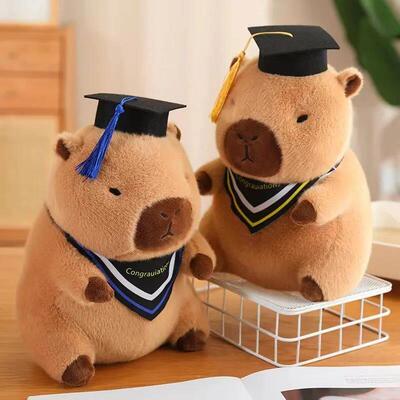 Graduate Plush Dolls Doctor Capybara Owl Bear Plush Toy Cute
