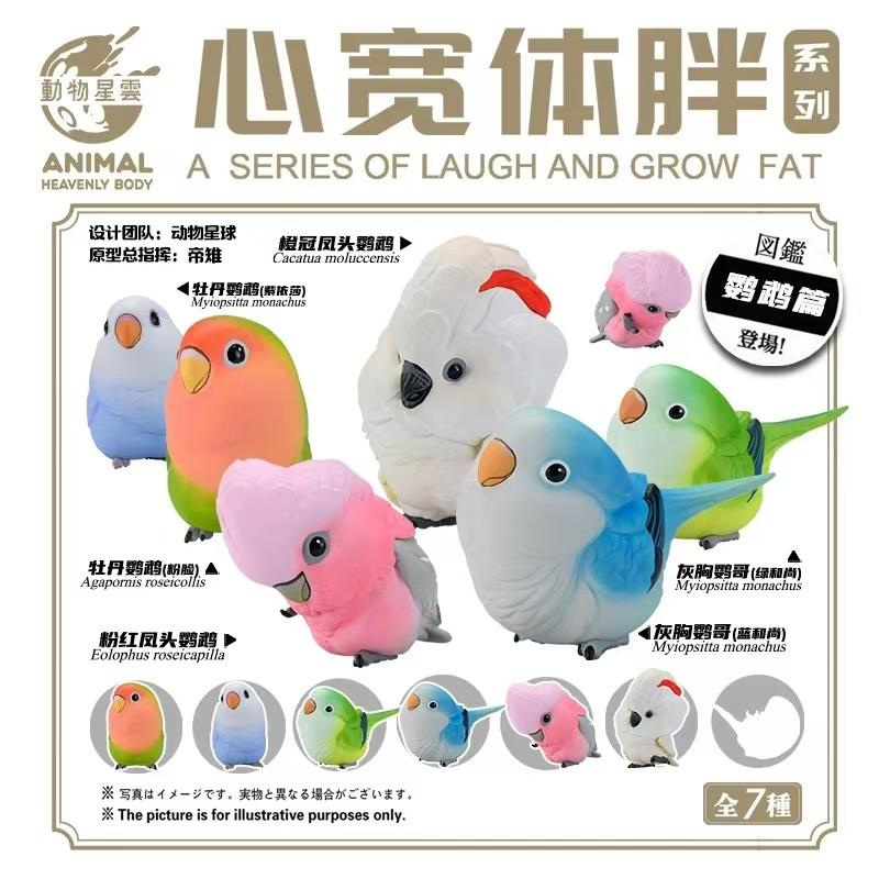 动物星云心宽体胖鹦鹉第二弹盲盒