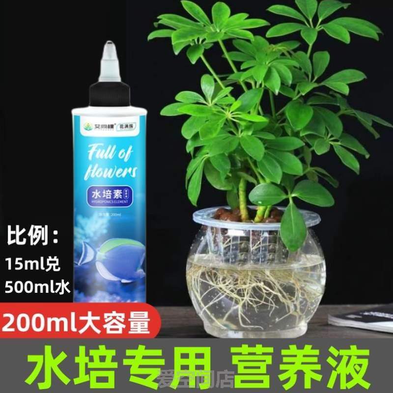 绿植盆栽盆栽发财树插花!散尾葵富贵竹阳台喷洒生根土壤绿萝水培