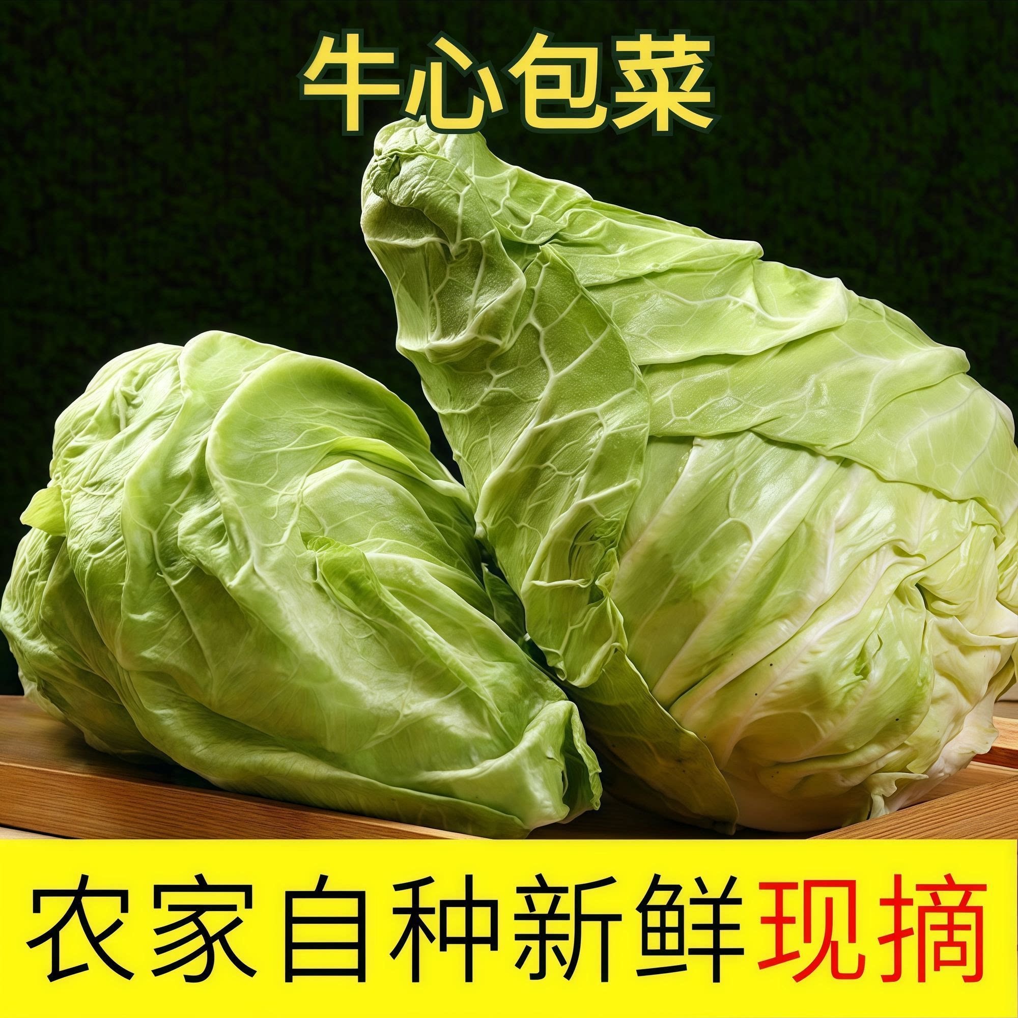河南周口新鲜小牛心菜绿甘蓝