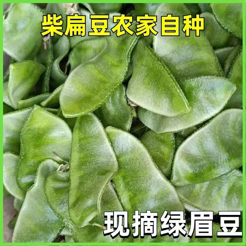 新鲜刀豆宽豆角扁豆角
