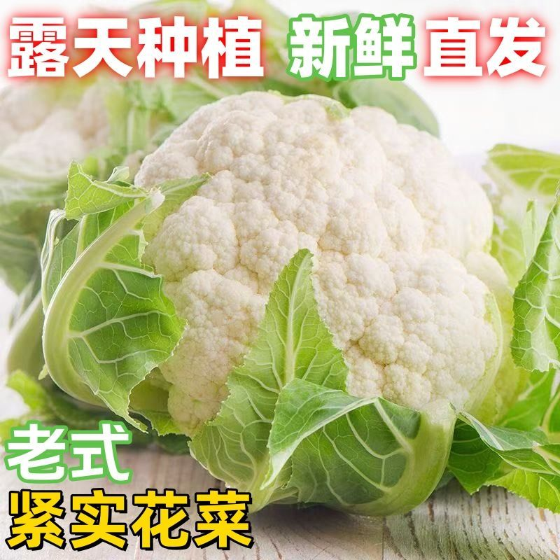 花菜新鲜 5斤农家现摘传统白花菜老品种花椰菜时令蔬菜清脆感菜花,水产肉类/新鲜蔬果/熟食,西兰花/花菜,淘宝优惠券,粉丝福利购,淘宝优惠卷