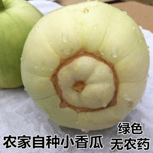 顺丰包邮甜宝甜瓜白皮小香瓜5斤