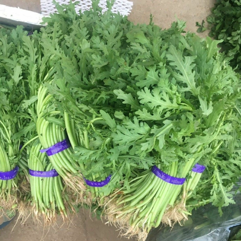 茼蒿菜新鲜蔬菜包邮农家自种花叶茼蒿光杆茼蒿皇帝菜火锅青菜