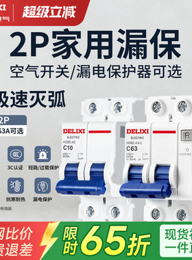 德力西空气开关断路器漏电保护器家用2P63a双极双匹电闸总空开