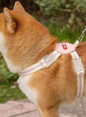 Small Dog Harness Puppy Harness And Traction Rope