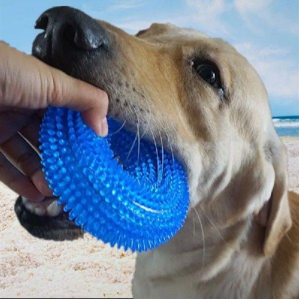 Squeaky Pet Dog Interactive Chew Toy Puppy Bite Resistant