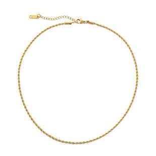 chain titanium short fashion ins twist necklace savi steel