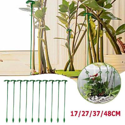 10/30 Pack 17/27/37/48cm Flower Stand Garden Single Stem