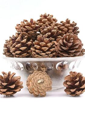 PineCones 3 to 4cm Natural Pine Cones for Christmas e Decor