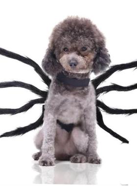 Halloween Carnival Pet Spider Modeling Dog Clothes Pet