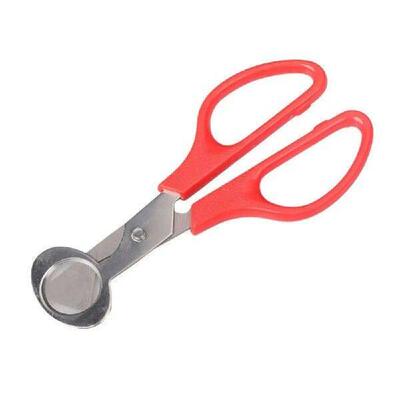 High Quality Stainless Steel Scissors Durable Eggshell
