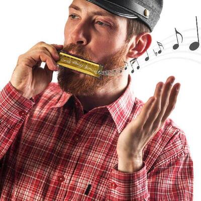 Harmonica Key Musical Instrument 10 Holes for Adults