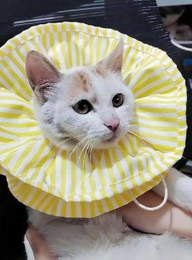 Cozy Anti-bite toperative Recovery Wound Healing Collar