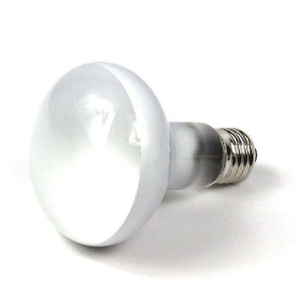 2 Pack UVA 100W Basking Spot Heat Lamp Bulb Soft Lighting