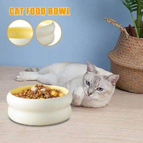 Dog Bowls Ceramic Cat Water Bowl Kitten Feeding Dish