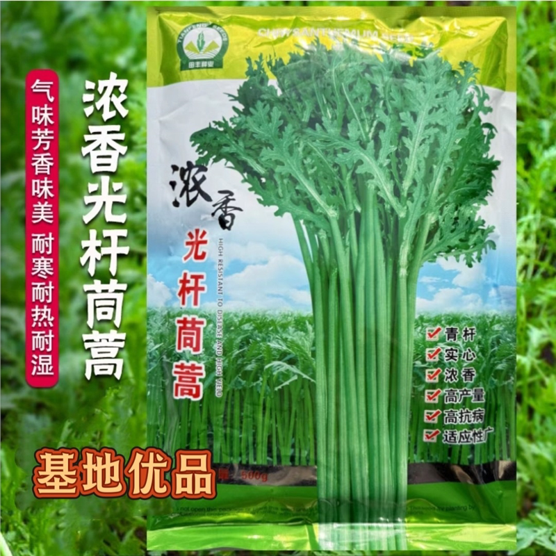 浓香光杆茼蒿种子高产抗病耐寒耐热皇帝茼蒿菜种籽农家菜籽蔬菜种