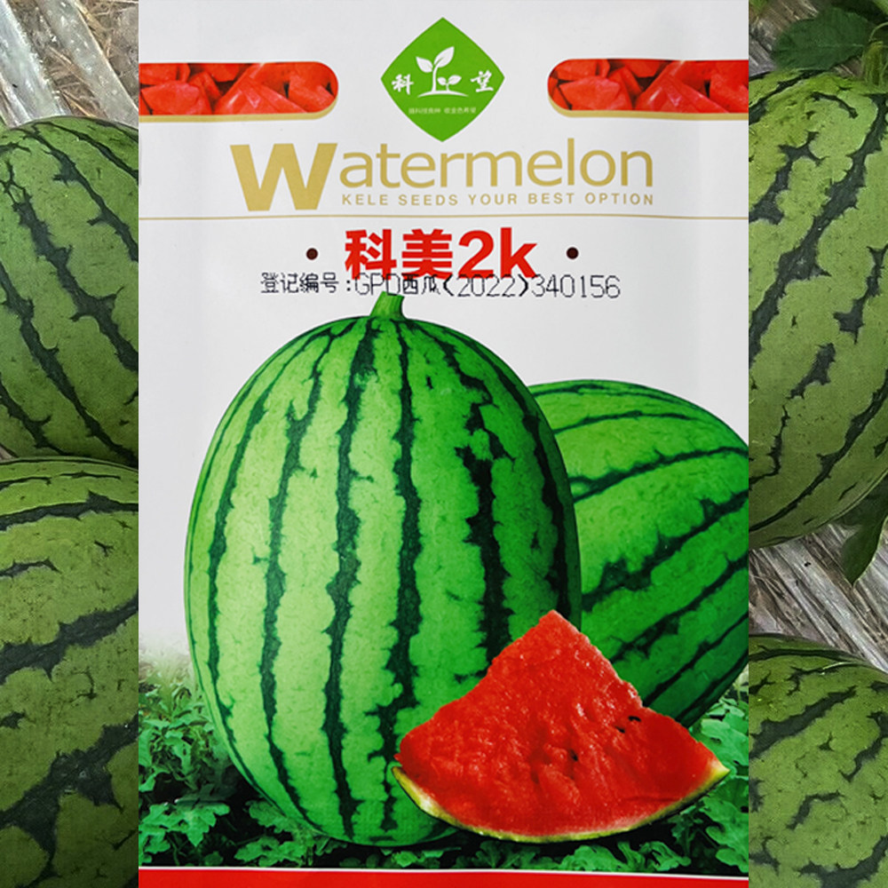 科美2k西瓜种子早春红玉改良西瓜种超甜红瓤水果西瓜种孑大田基地