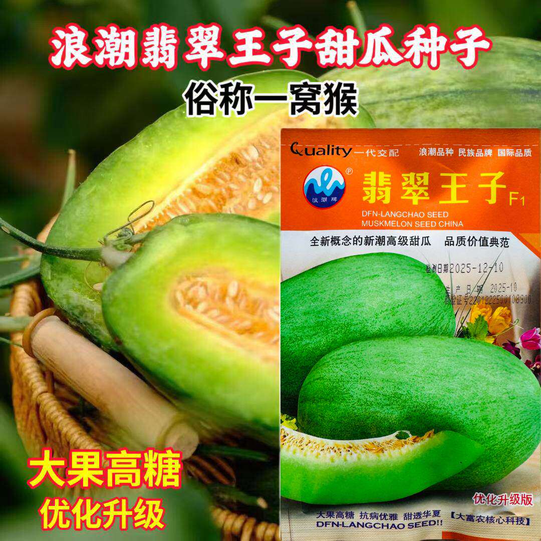 翡翠王子西瓜种子高产抗病较耐重茬中香瓜种籽香甜香瓜种子籽