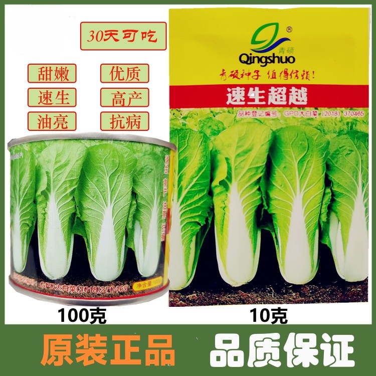 速生超越快菜种子100g速生快菜种子 耐热小白菜种籽 四季蔬菜种子,鲜花速递/花卉仿真/绿植园艺,家庭园艺种子,淘宝优惠券,粉丝福利购,淘宝优惠卷