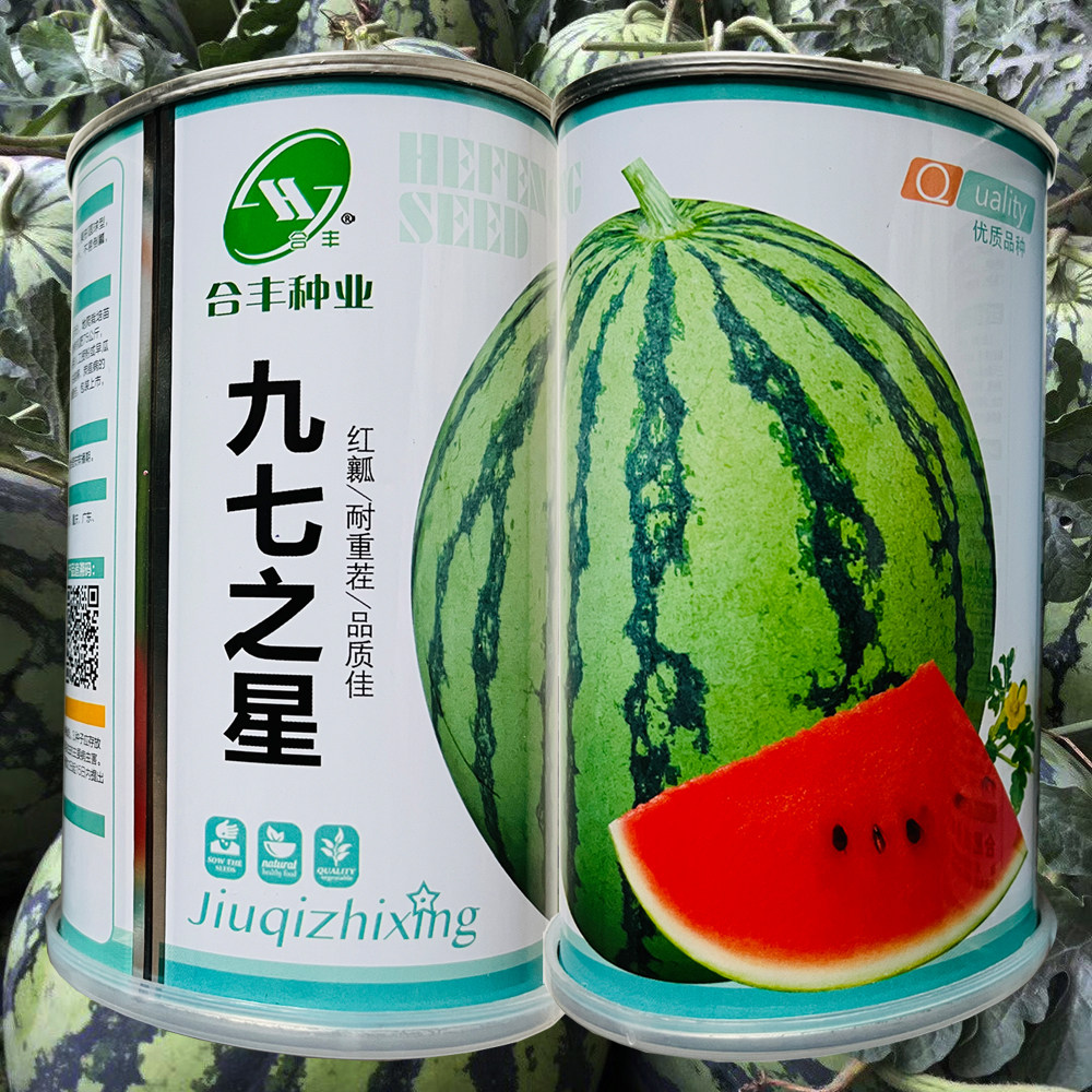 美都九七之星西瓜种子超甜大果高产特大正宗美都麒麟瓜甜王种籽
