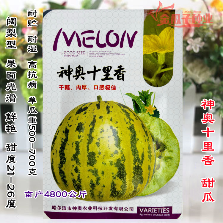 神奥十里香甜瓜种子八里香的换代品种极甜干瓤肉厚口感佳香瓜种子